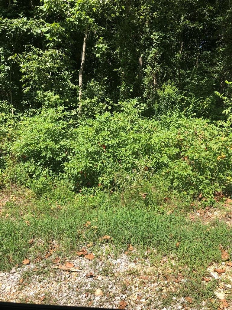 Beautiful lot in the Kent Subdivision.  There is a lot going on in the Northeast Bella Vista neighborhood.