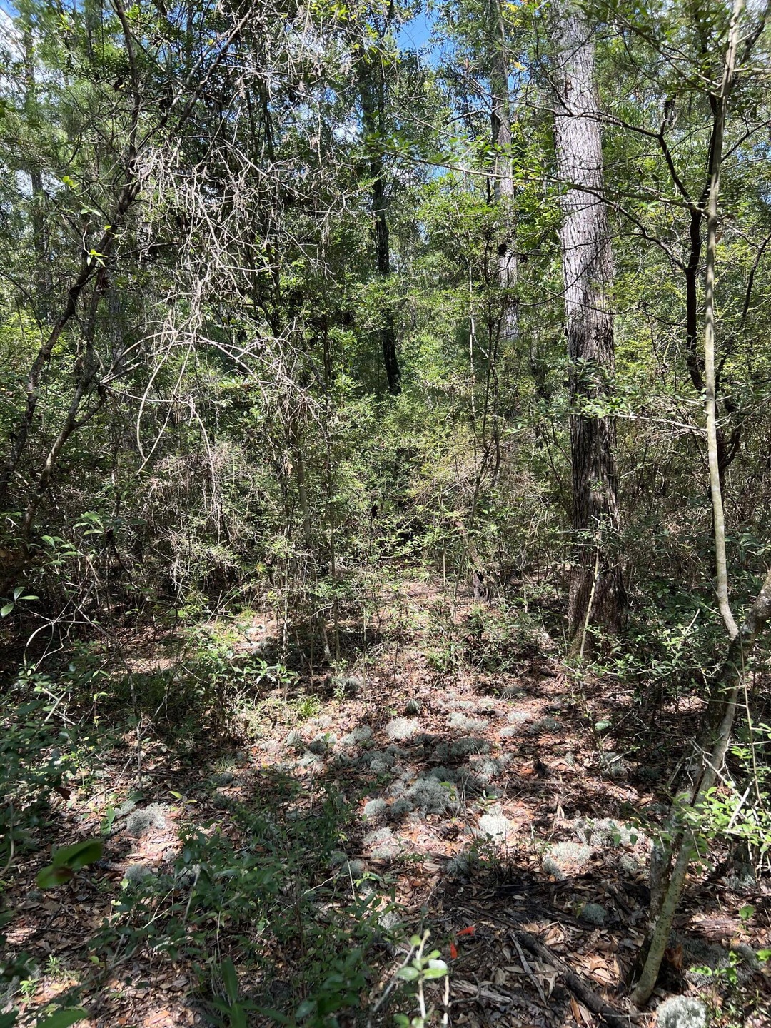 Sold $52,500 • Co-Listing Agent