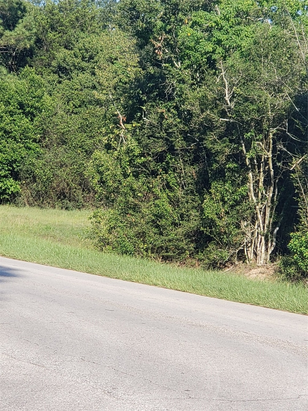 0 Carrell Lot 2 St unit 39857295, Tomball, TX 77375 - photo 1