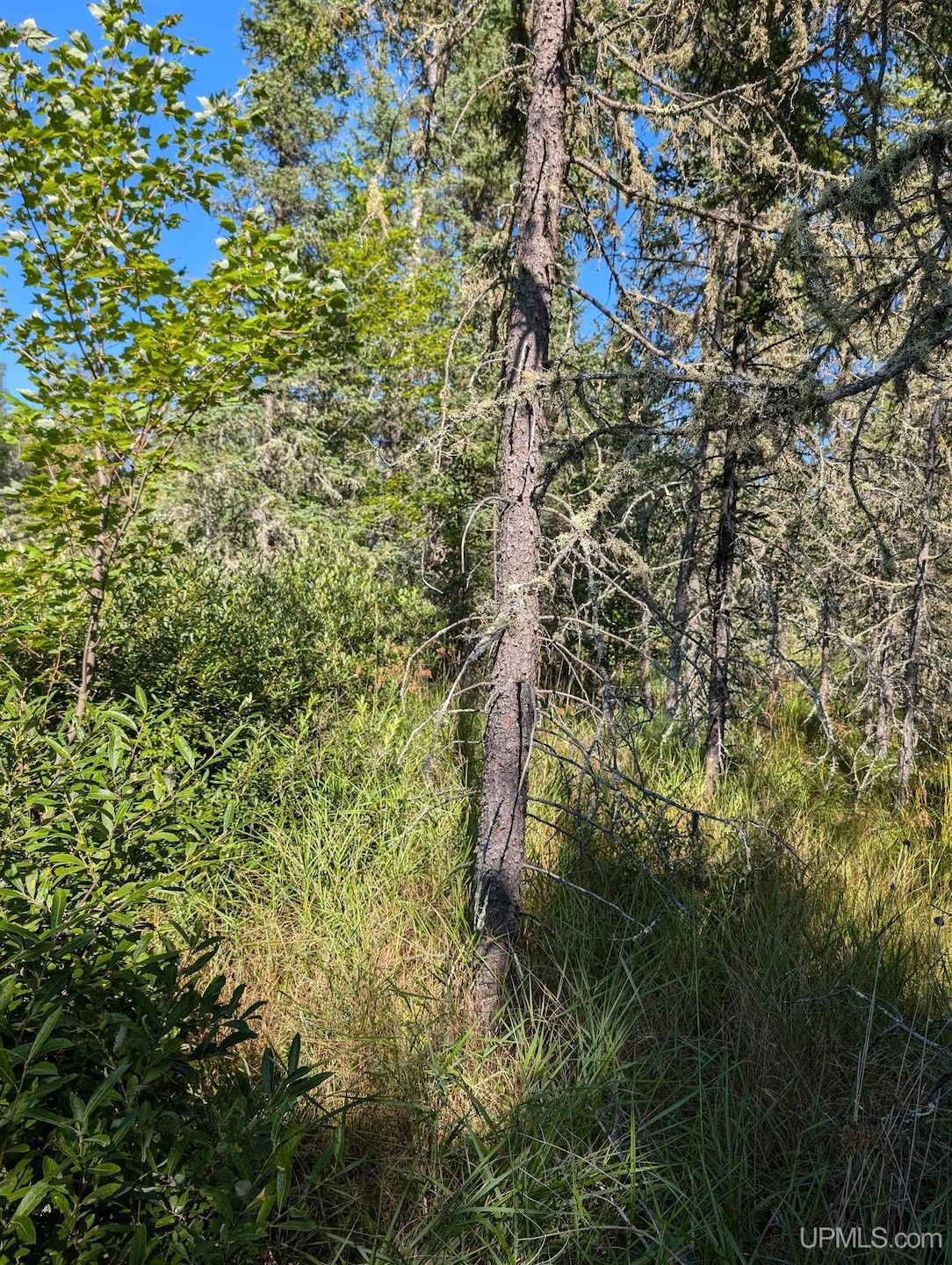 Sold $290,000 • Co-Listing Agent