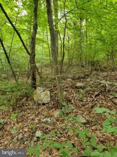 0 Bison Ridge Ln unit PAPY2000378, Newport, PA 17074 - photo 1