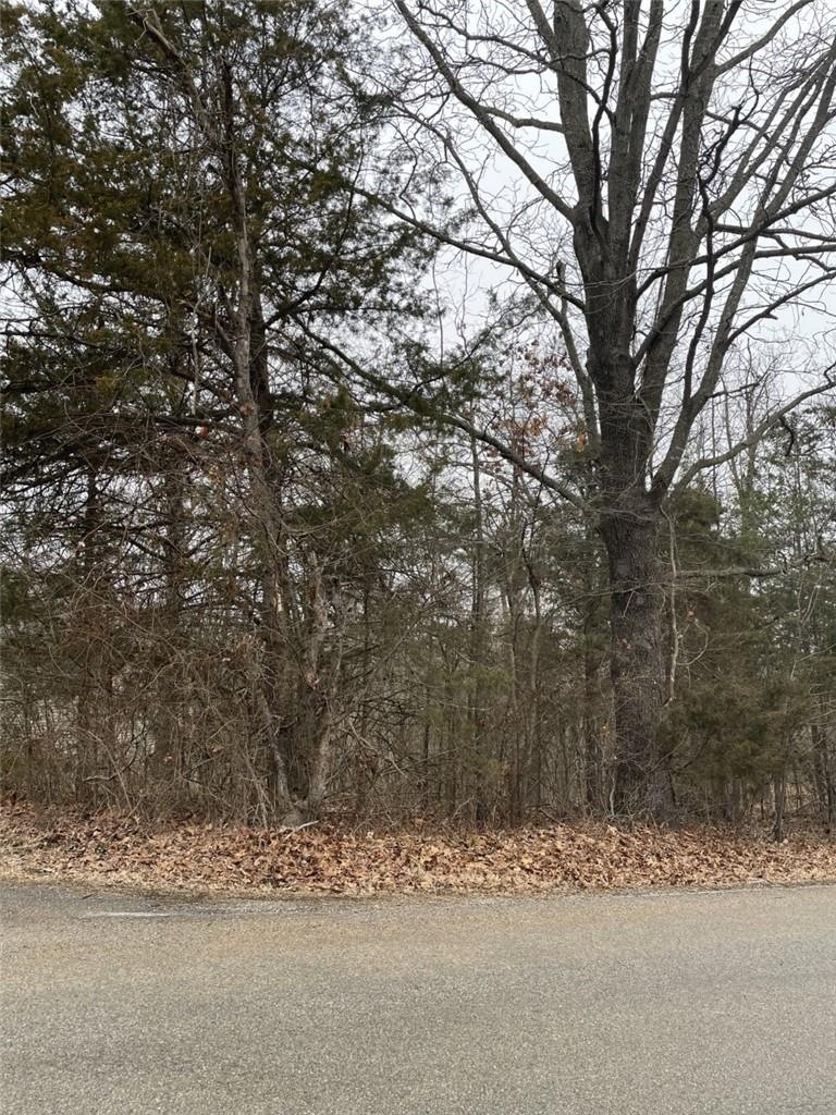 0 Huntley Ln, Bella Vista, AR 72715 - photo 1