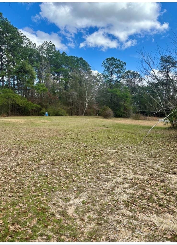 101 Will Thompson Rd, Picayune, MS 39466 - photo 1