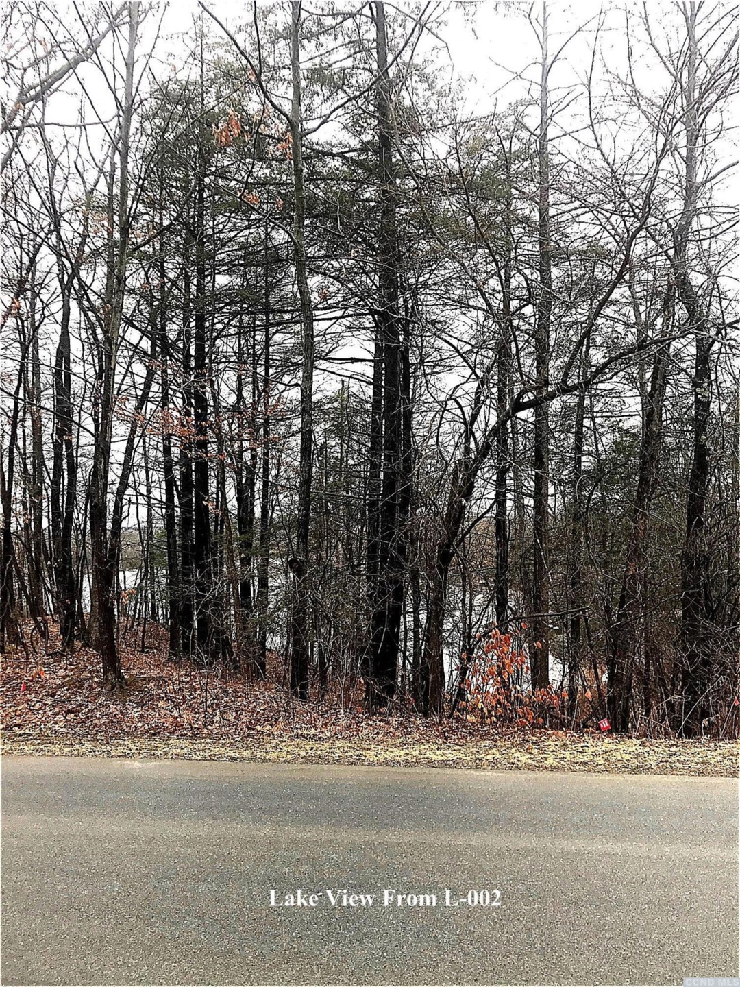 2 - L Sleepy Hollow Rd, Athens, NY 12015 - photo 1