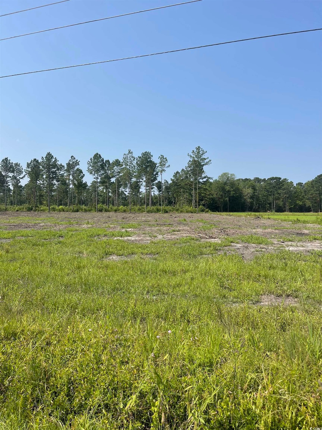 TBD W Highway 19 unit Lot 7A, Loris, SC 29569 - photo 1