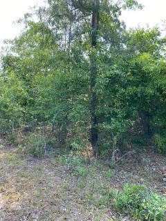 Front of Lot