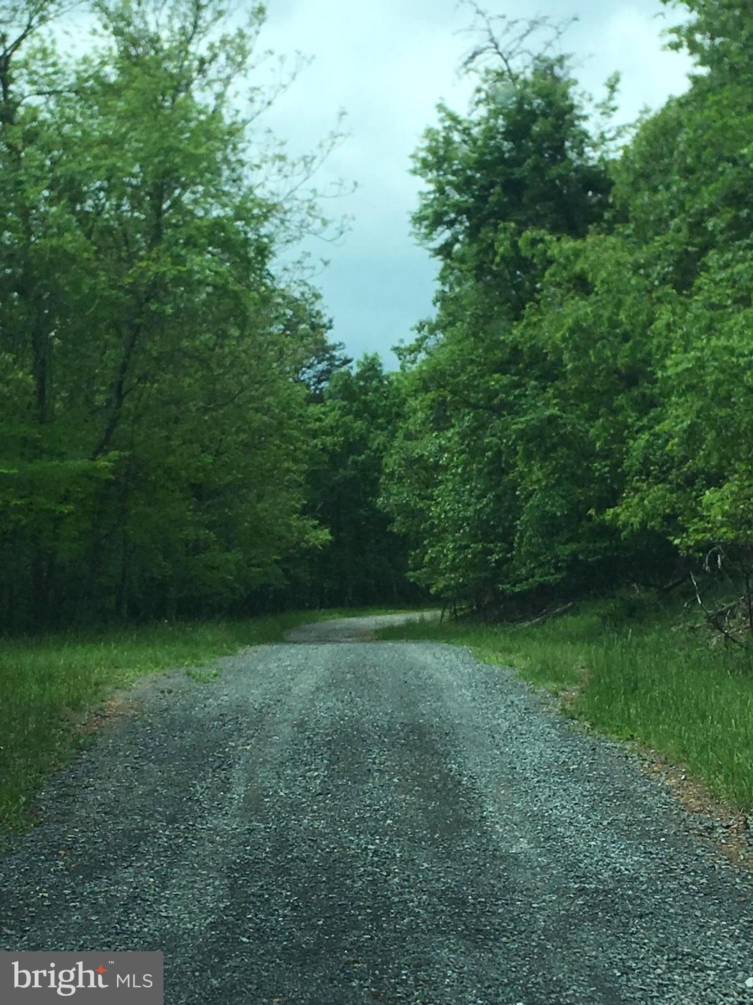 102 Chestnut Place, Cross Junction, VA 22625 - photo 1