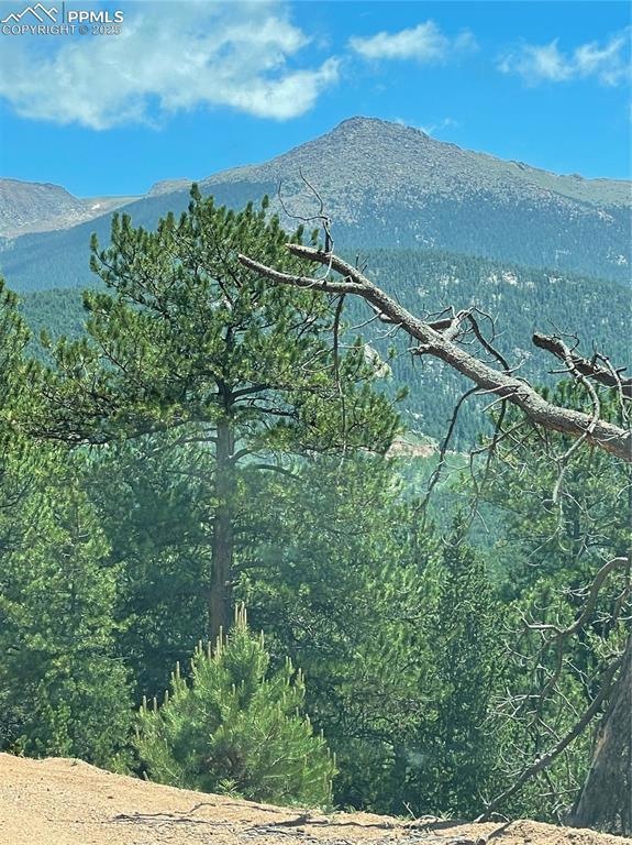 L8 Horseshoe Dr, Divide, CO 80814 - photo 1