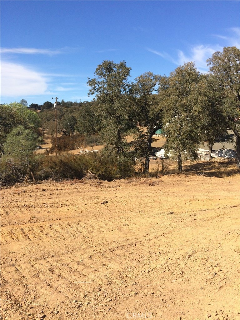 Flat area at top of knoll.
