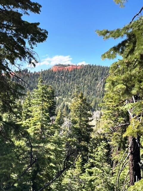 1130 W Big Horn Cir, Duck Creek Village, UT 84762 - photo 1