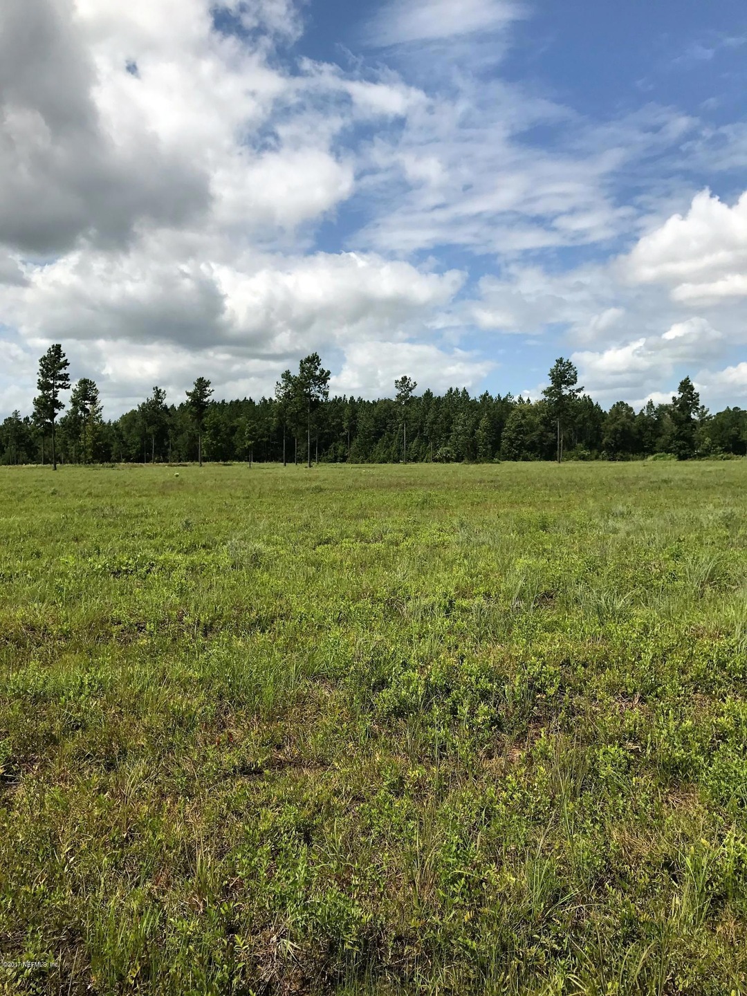 0 Red Dirt Ridge Trail unit 894029, Callahan, FL 32011 - photo 1