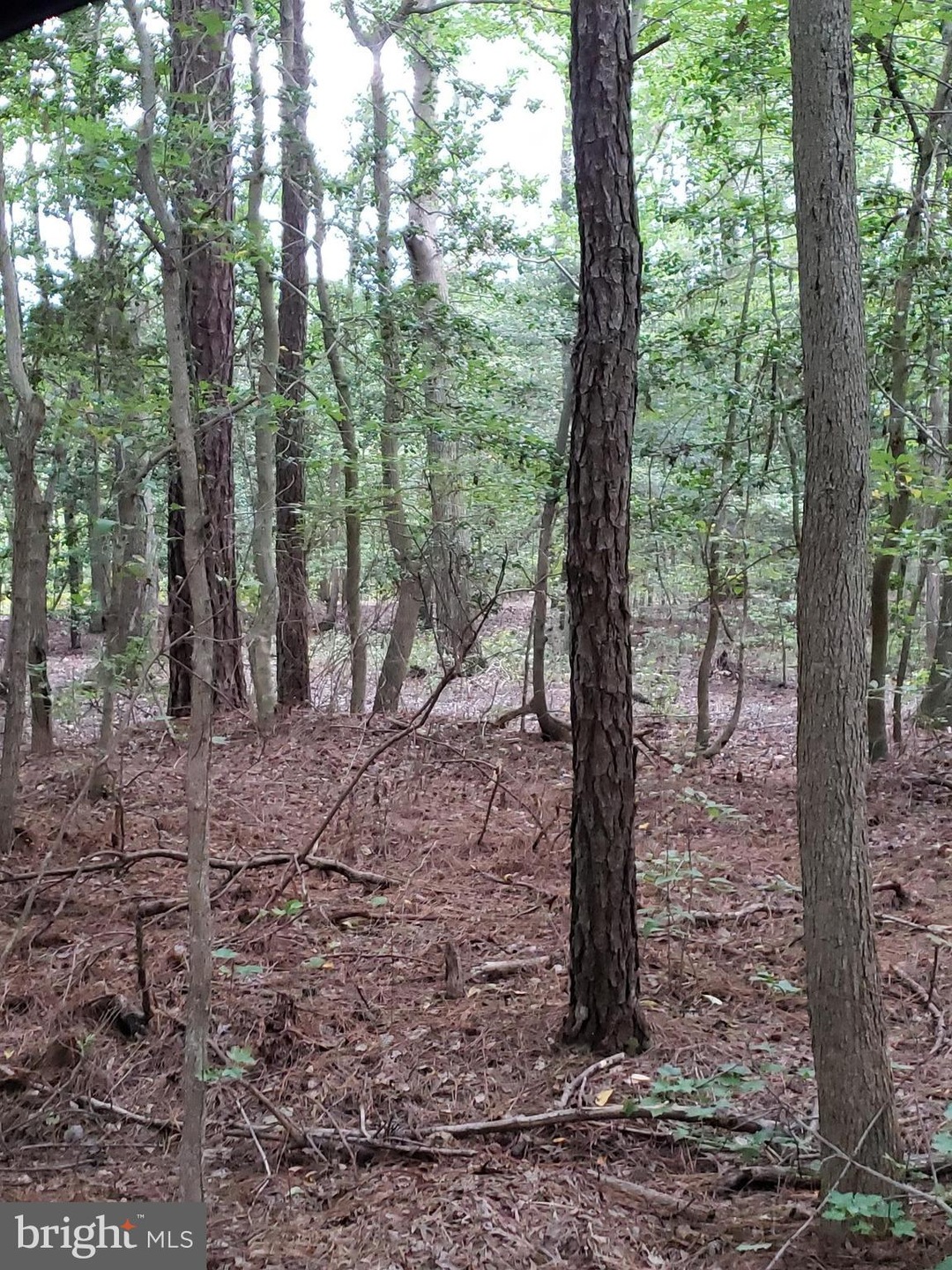 0 Touhey Dr unit 1002071148, Kent Island, MD 21666 - photo 1