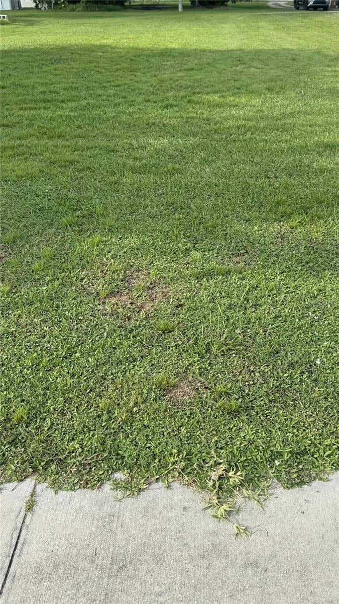 vacant lot sidewalk on south side