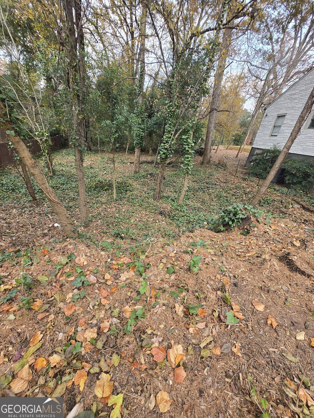 2242 Ridgedale Rd NE, Atlanta, GA 30317 - photo 1