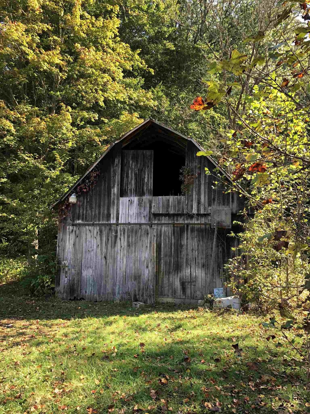 3044 S Old Clifty Rd, Bloomfield, IN 47424 - photo 1