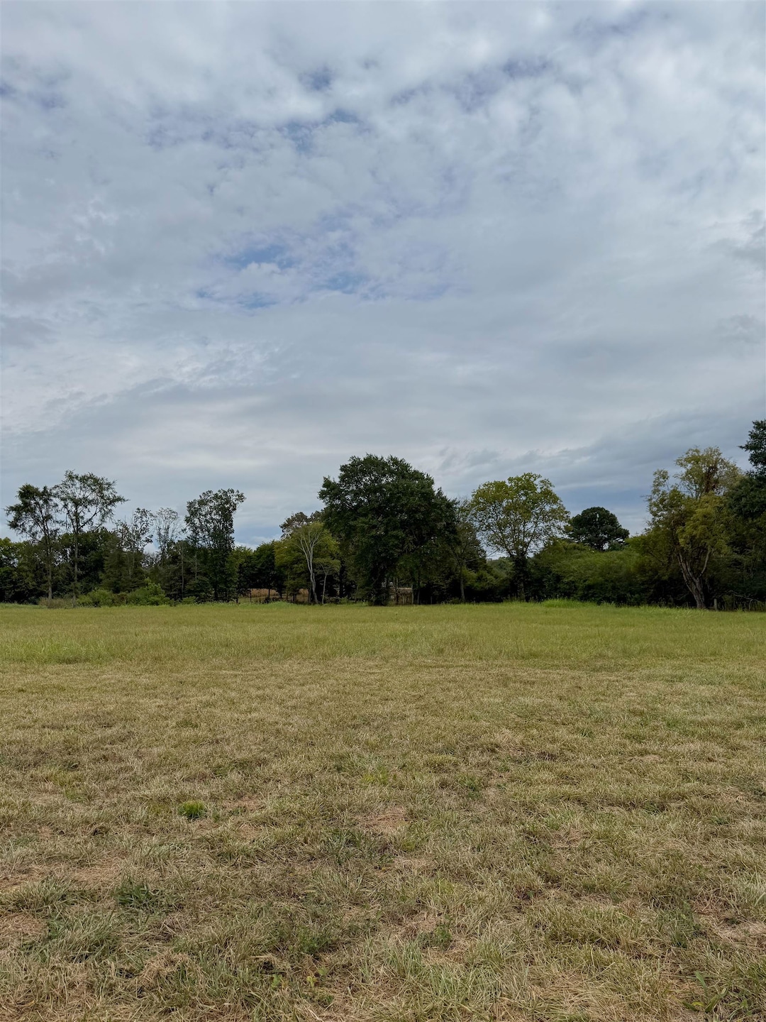 Sold $65,000 • Co-Listing Agent