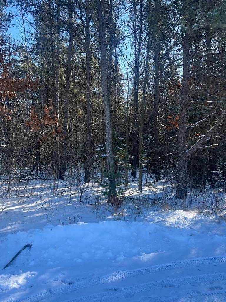 Lot # 40 Piccadilly Ct, Stevens Point, WI 54482 - photo 1