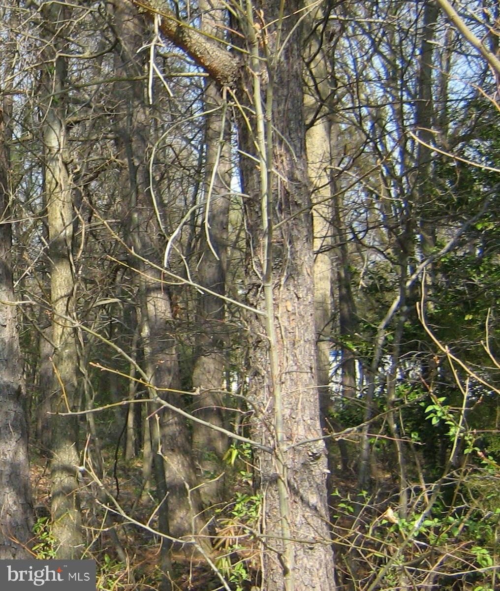 0 Brickhouse unit 1000050219, King George, VA 22485 - photo 1