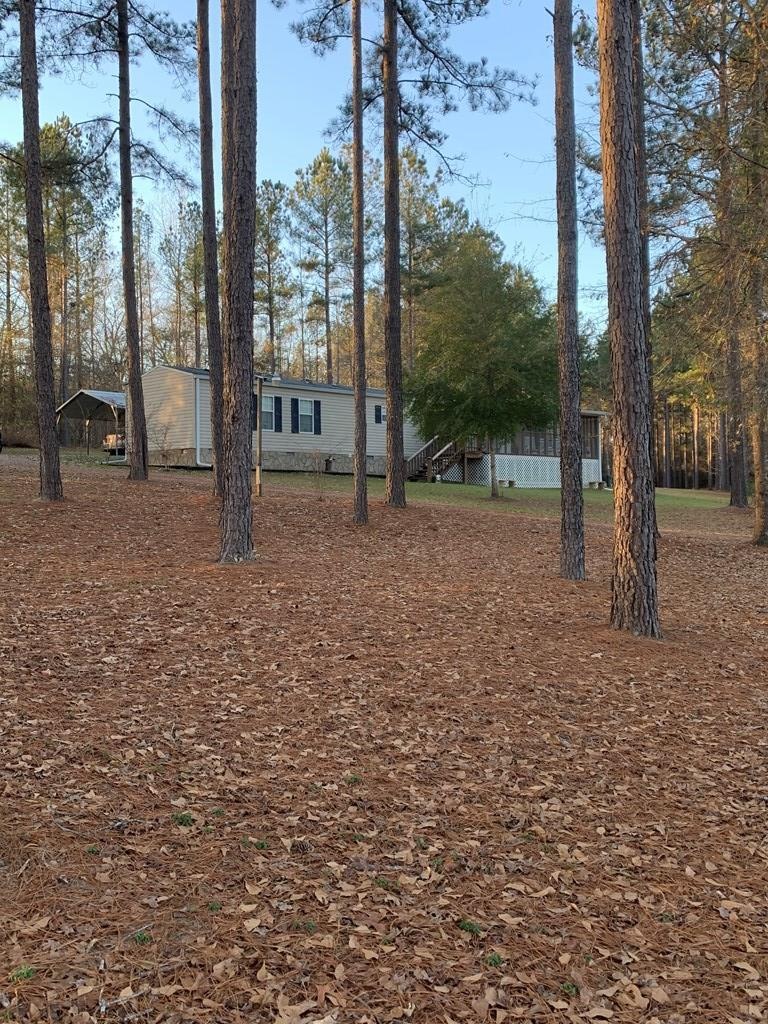 Main View