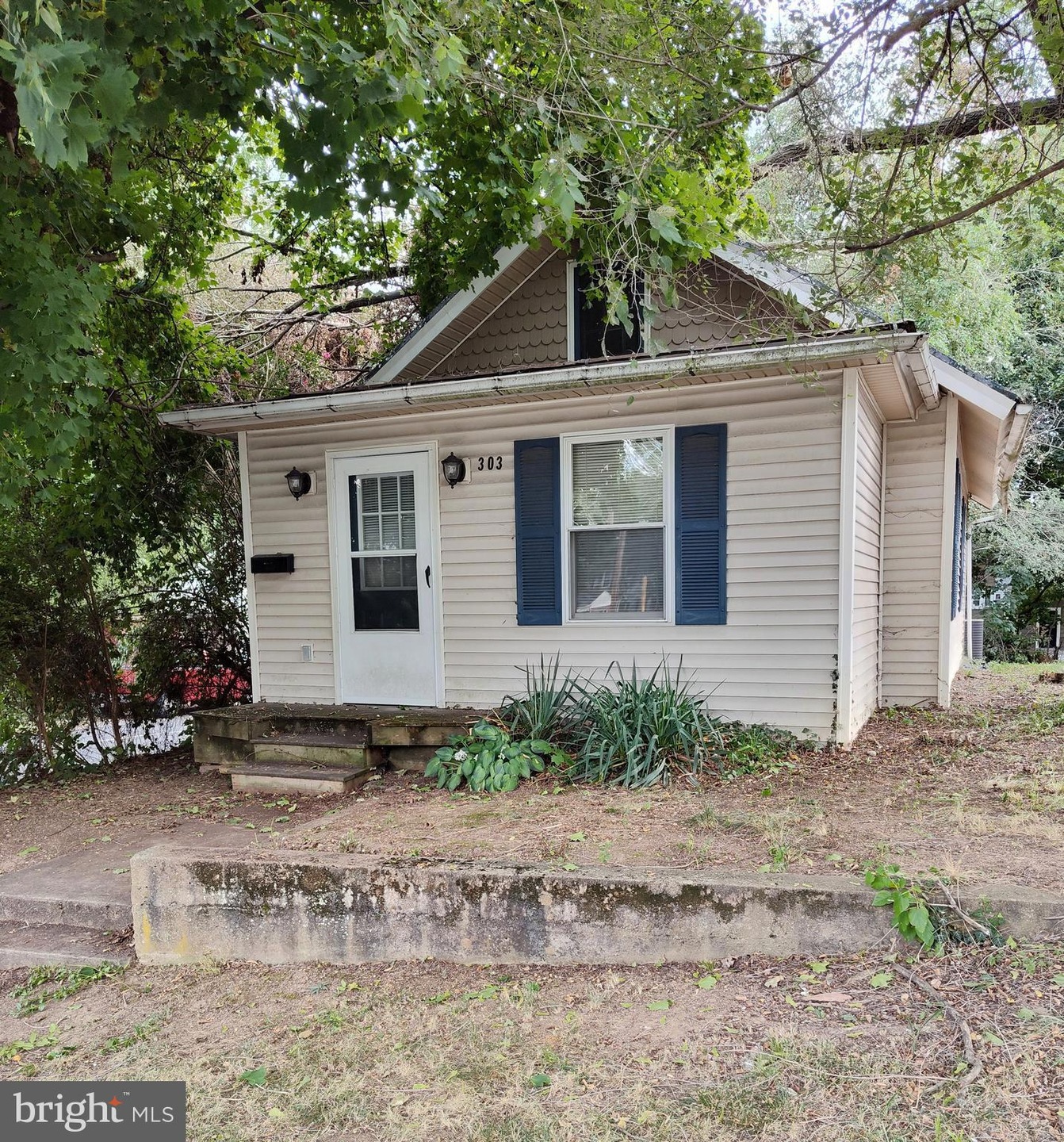 303 W Spring St, Woodstock, VA 22664 MLS VASH2006722