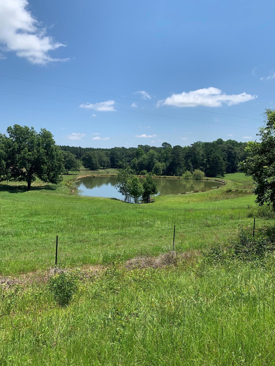 1 county line rd