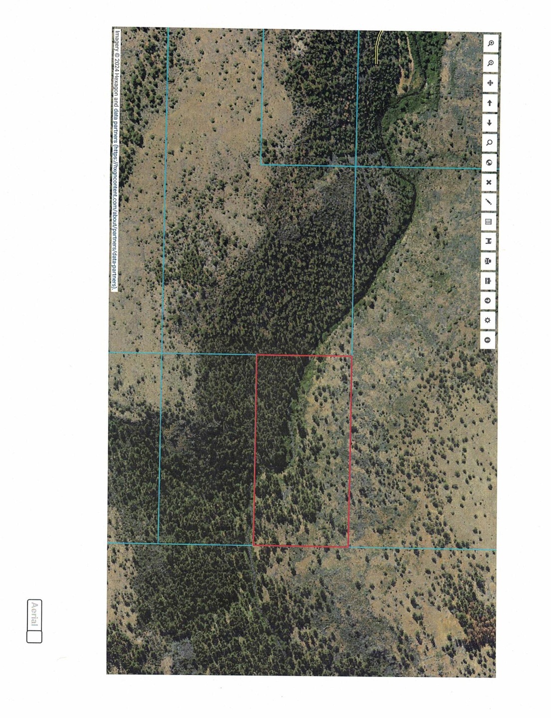 CCF_000593