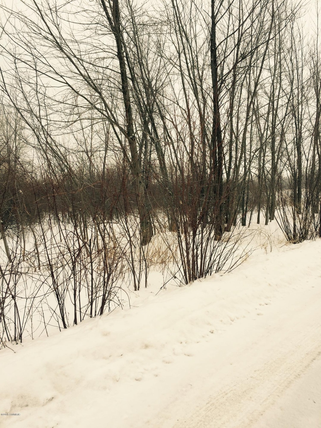 0 Aplona Ln, Sawyer, MI 49125 - photo 1