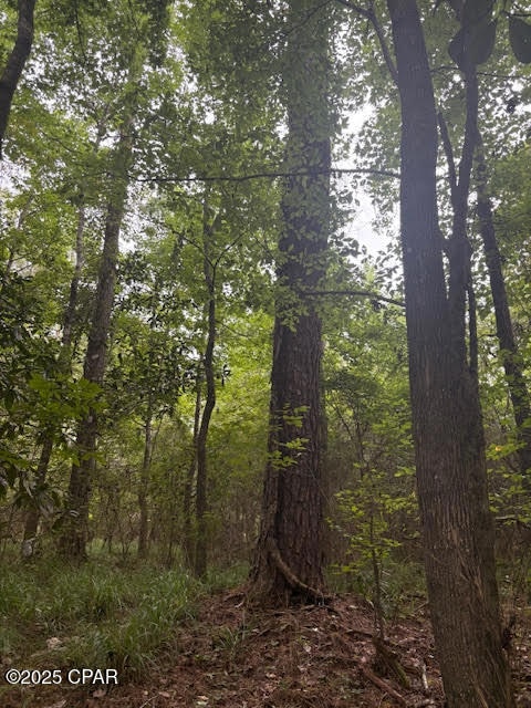 0 Pt Milligan Rd unit 778755, Quincy, FL o - photo 1