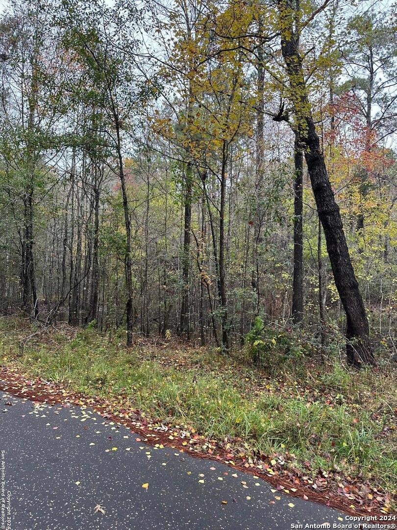 00 County Road 065, Jasper, TX 75951 - photo 1