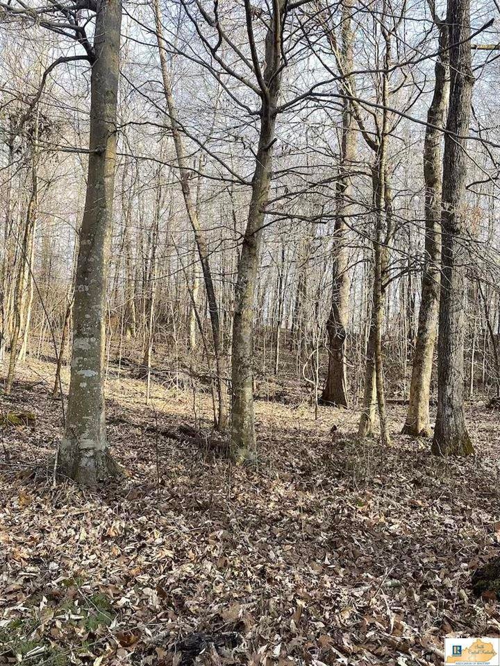 290 Old Sulphur Springs Rd unit Old Sulphur Springs, Columbia, KY 42728 - photo 1