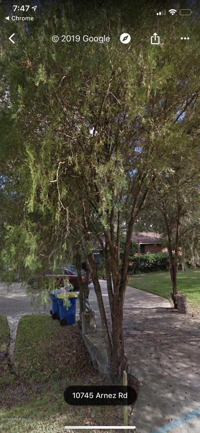 10745 Arnez Rd, Jacksonville, FL 32218 - photo 1