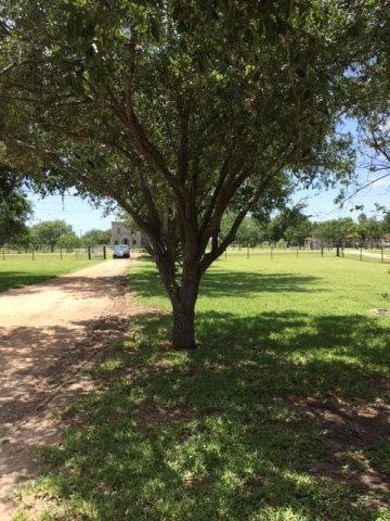 4824 N Mile 3 1 2 W, Weslaco, TX 78599 - photo 1