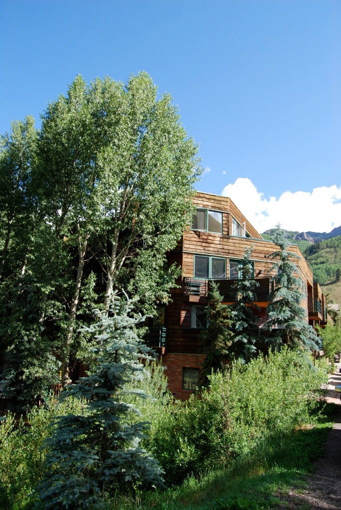 ICEHOUSE CONDOMINIUMS UNIT #318