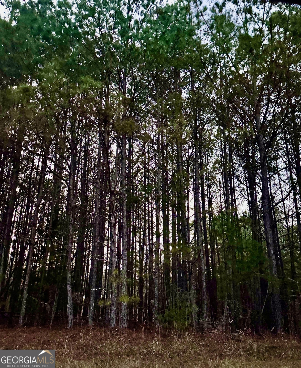 3230 Steadman Rd, Tallapoosa, GA 30176 - photo 1