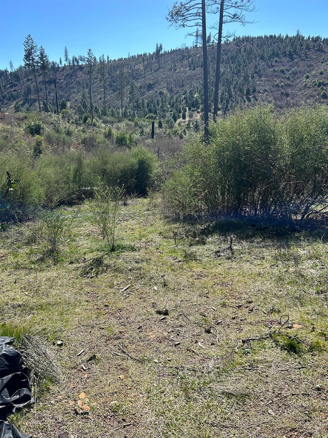 1234 Hog Ranch Rd, Concow, CA 95965 - photo 1