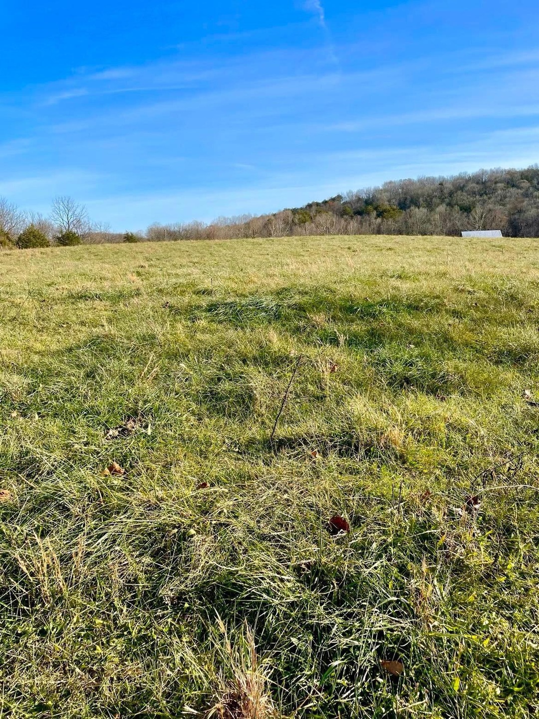 231 Highway 1003, Somerset, KY 42501 - photo 1