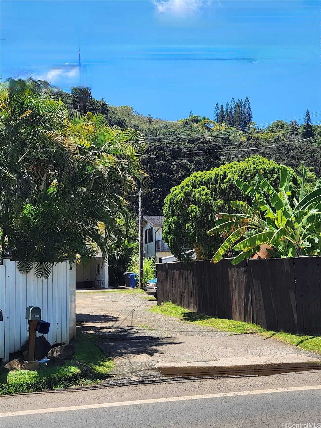 Driveway off of Kamehameha Highway