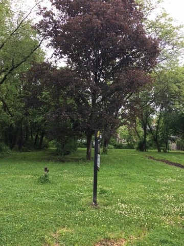 701 Parkside Rd, Naperville, IL 60540 - photo 1