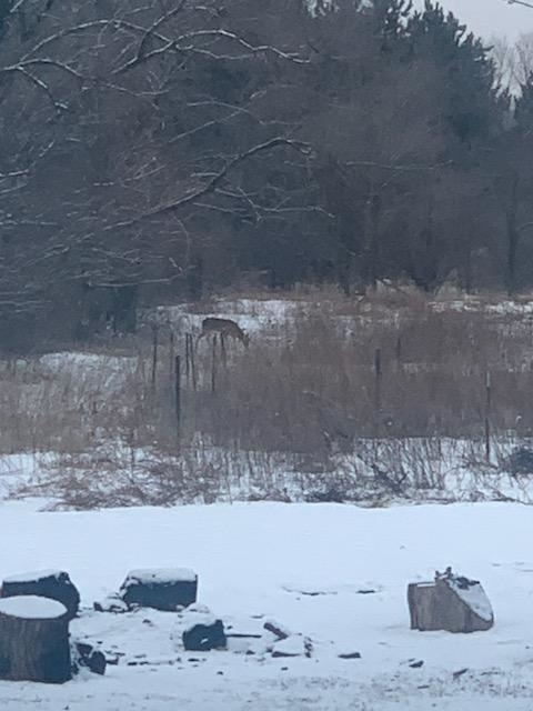 5008 S Driftwood Dr, Janesville, WI 53546 - photo 1