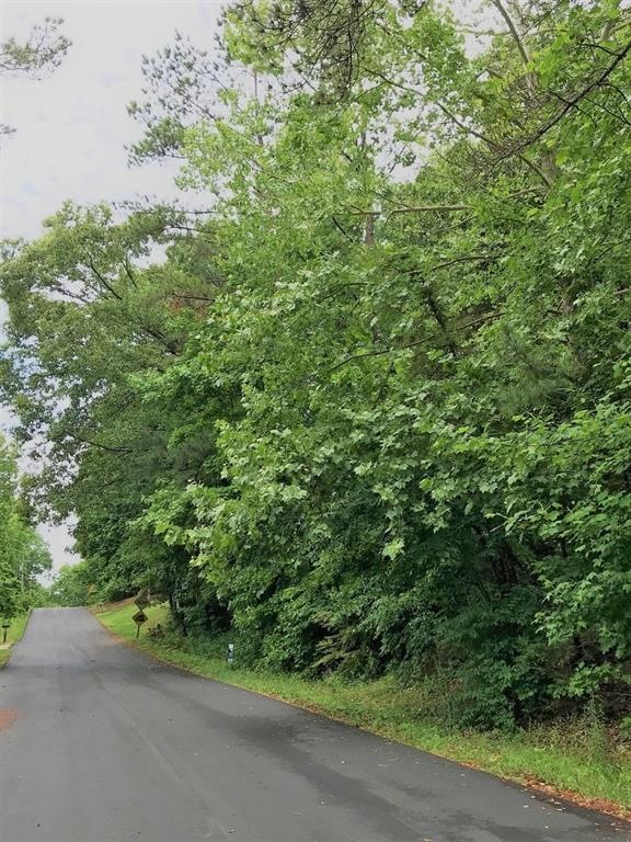 View of property from the south on Pocahontas Driv