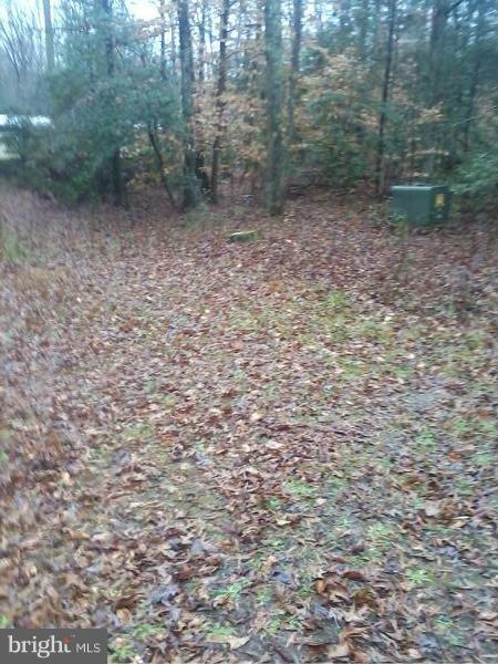 6616 Hook Ct, Spotsylvania, VA 22551 - photo 1