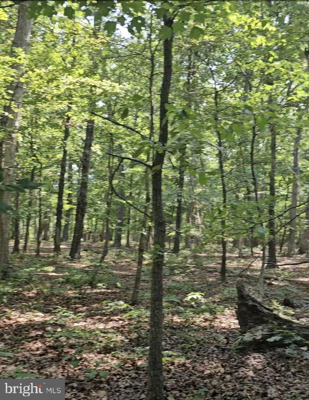 0 Anna Coves Ct unit VALA2006040, Mineral, VA 23117 - photo 1