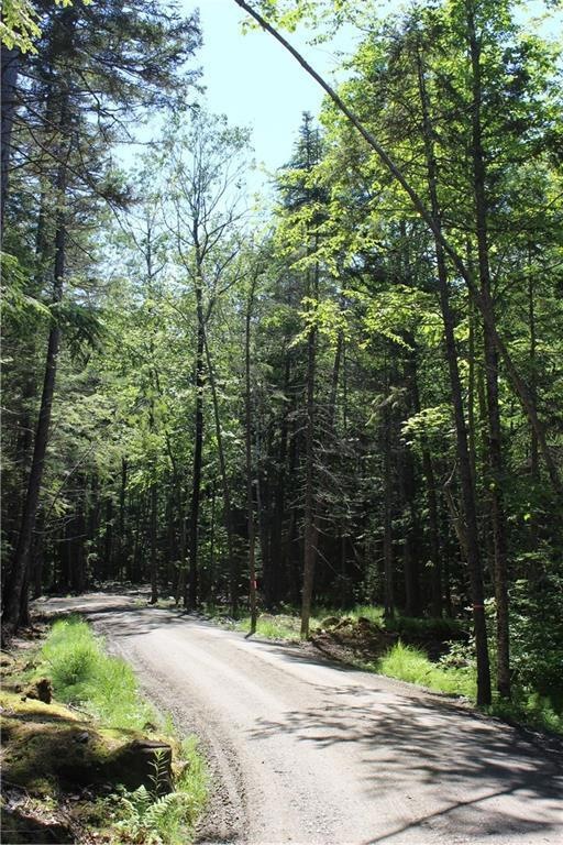 Road leading to lot