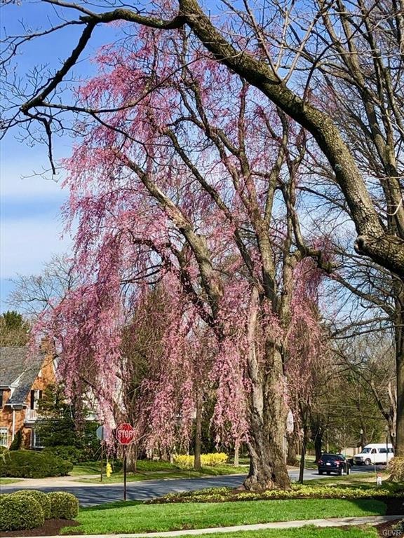 2850 Gordon St, Allentown, PA 18104 - photo 1