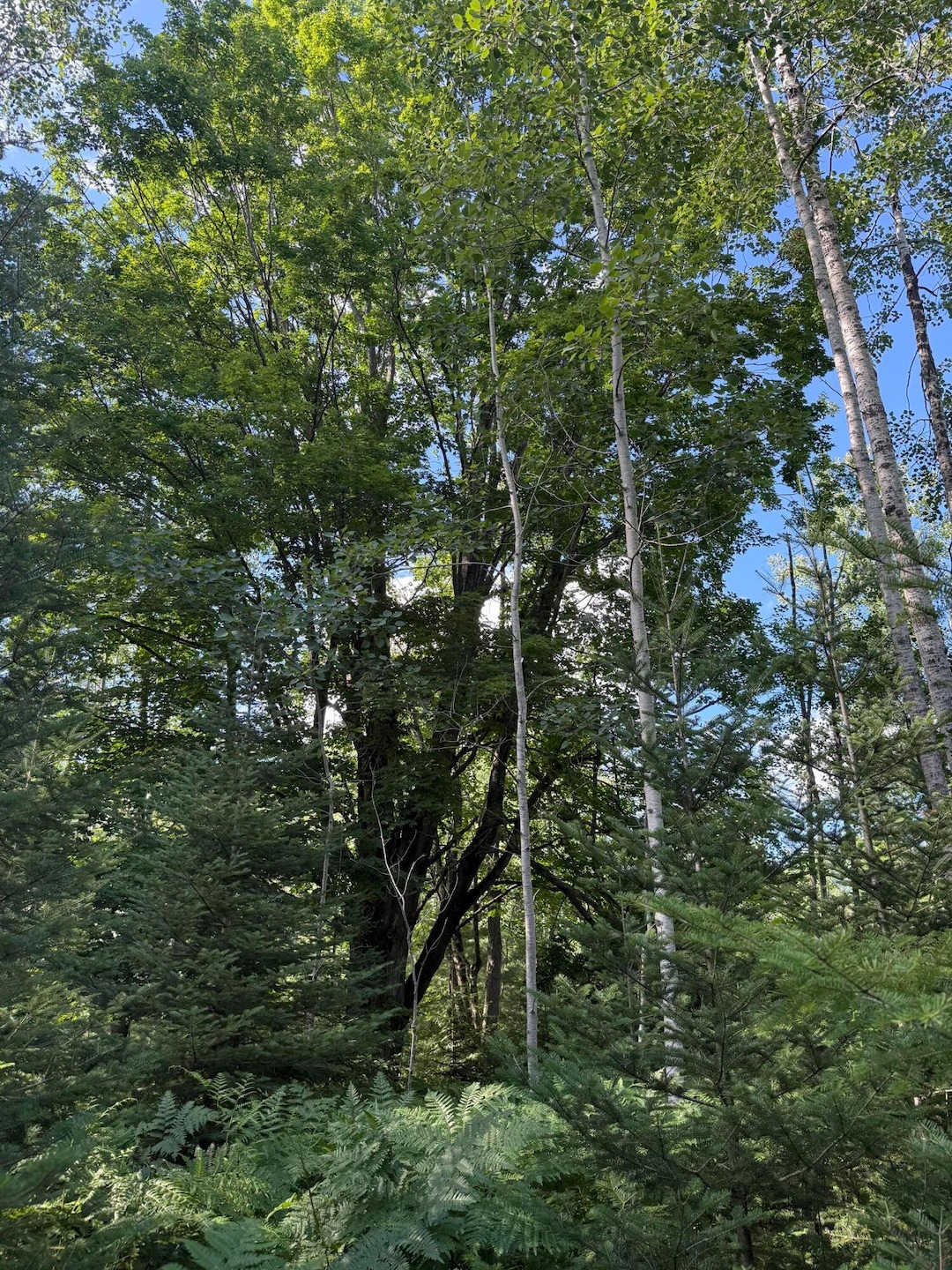 Under Contract $180,000