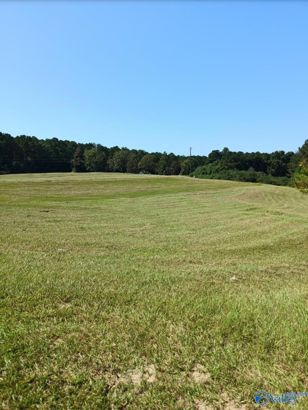 29.1 acres W County Highway 73, Hamilton, AL 35570 - photo 1