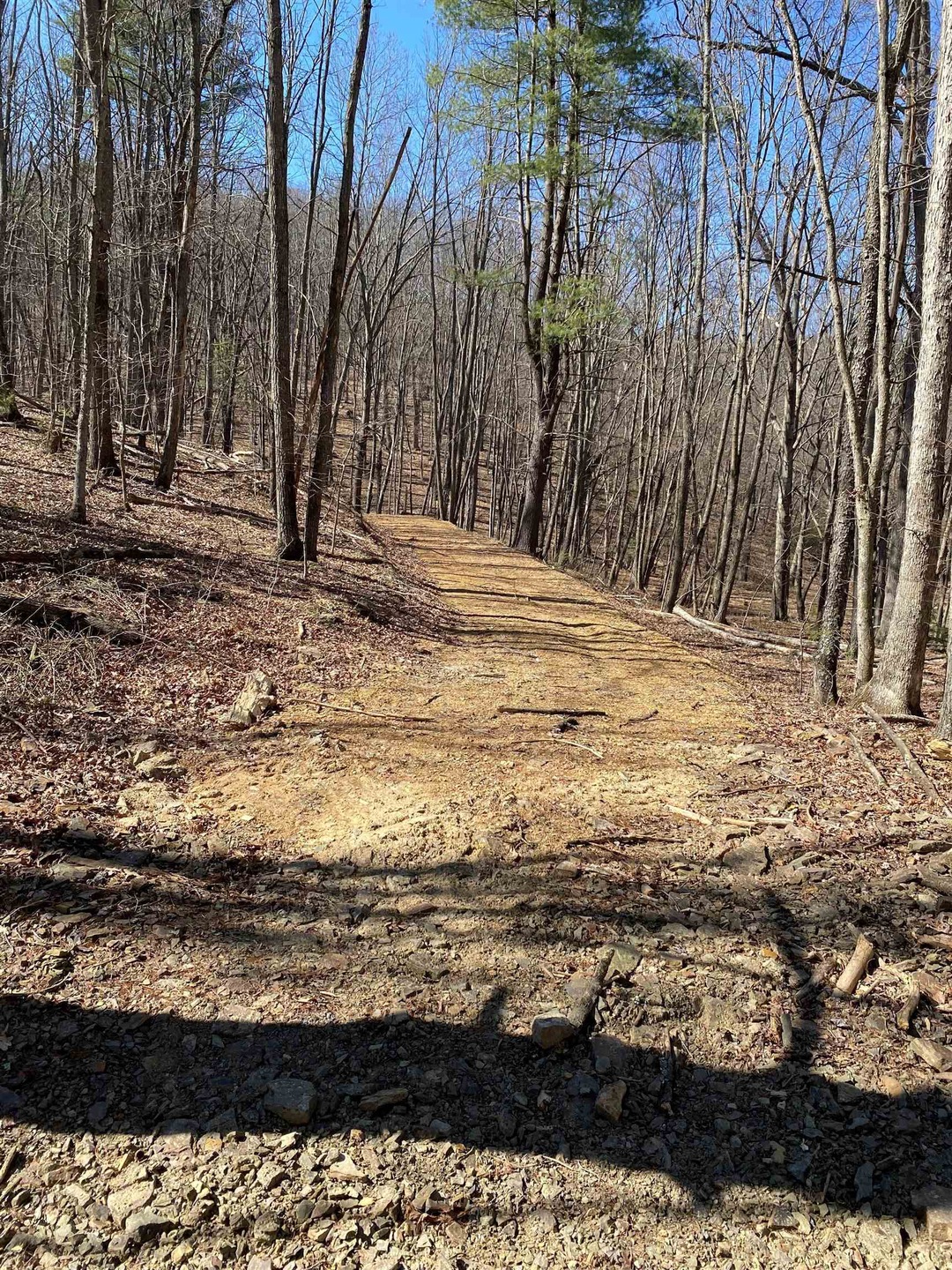 Lot 11B High Ln, Lost River, WV 26812 - photo 1