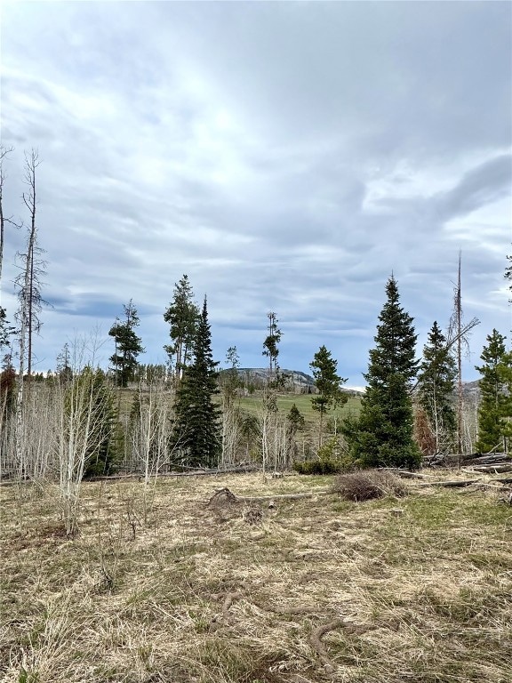 View of undeveloped land