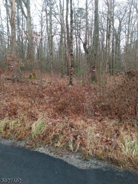 999 Stillwater Rd, Fredon Township, NJ 07860 - photo 1