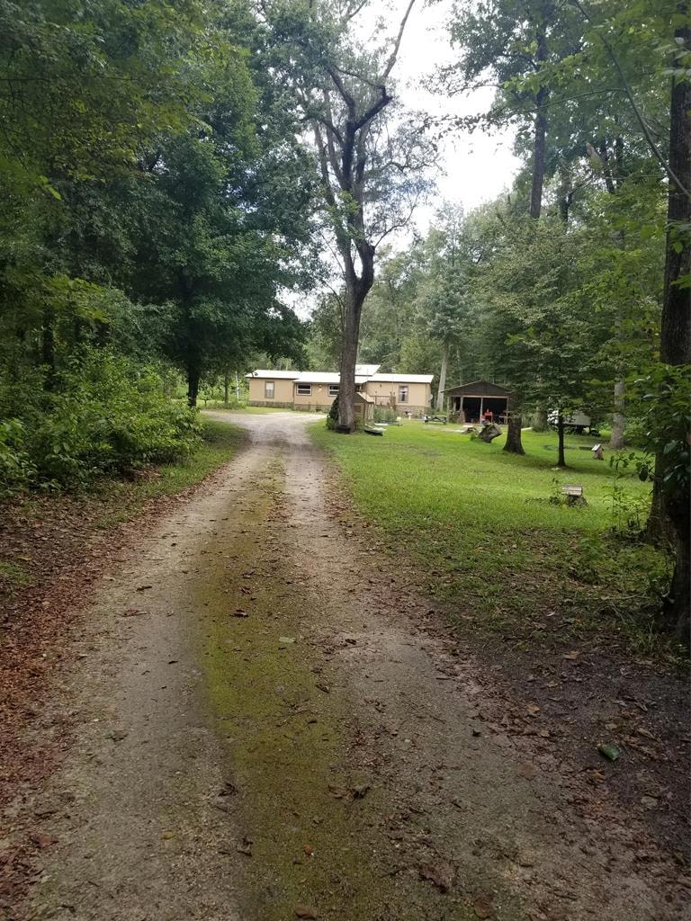 4173 290th Terrace, Branford, FL 32008 - photo 1